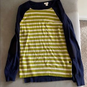J Crew Sweater